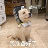 是么？