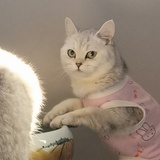 蓝希言