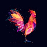 漂泊由我