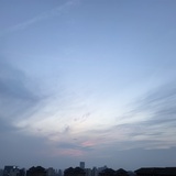 流莹Lynn