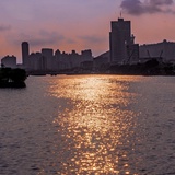 来个菠萝
