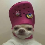 下去沉淀沉淀