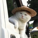 一勺