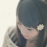 WD-queen