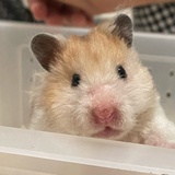 立秋已立