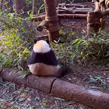 想要陪伴