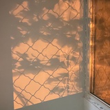 沫汐