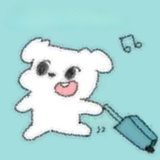 挥挥