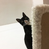 遥远的她