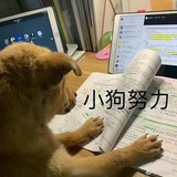 艾利亚斯
