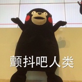 水鹤