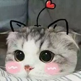 本次9.6飞韩国