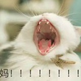 小九九