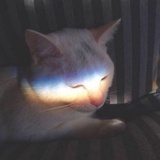 -IreneOrange