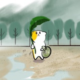 猫猫的回忆