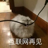 洒脱系