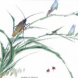 躞蹀初见