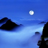 小树