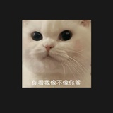 听取蛙声一片