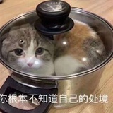 绝对窒息