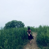 不夏