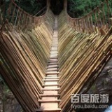 花落无声