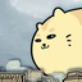 大猫may