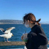 奥利奥被我吃了