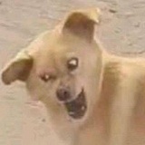 远歌
