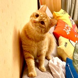 Smile铭_