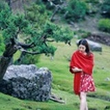 秦公子的后花园
