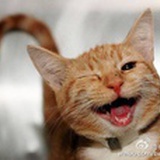 书宁