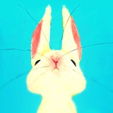 商宴