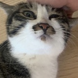 小废喵