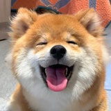 花和香菜