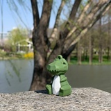 小蒜子