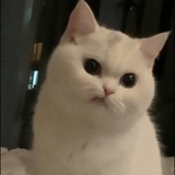 修成正果赵晟琪