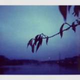 hello杨海伦