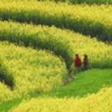 小张老师