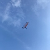 小阿小阿小锤子