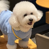 li狗爱年糕