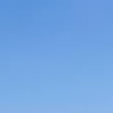 木质海
