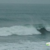 绿水铃铛