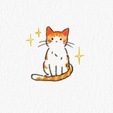 一道彩虹🌈