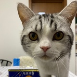 今天你离职了吗