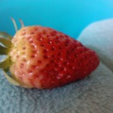 洁宝宝