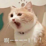 你脑子进萝北辣