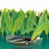 在水一方~~