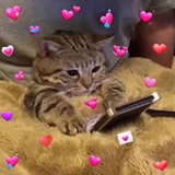 小宝贝