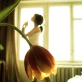 豆花美美